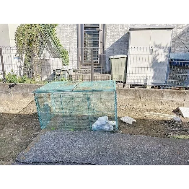 内装