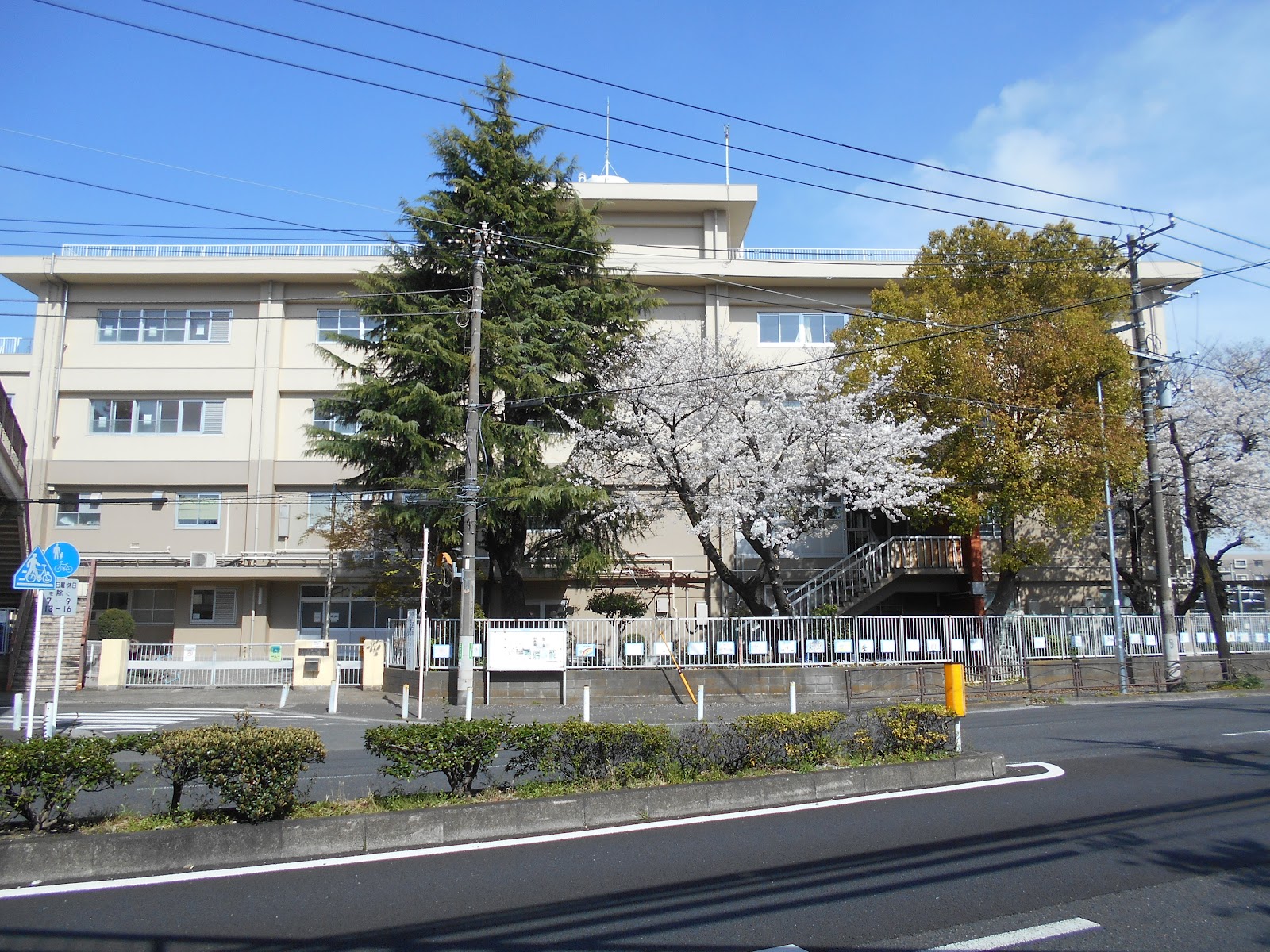 玉川小学校の写真