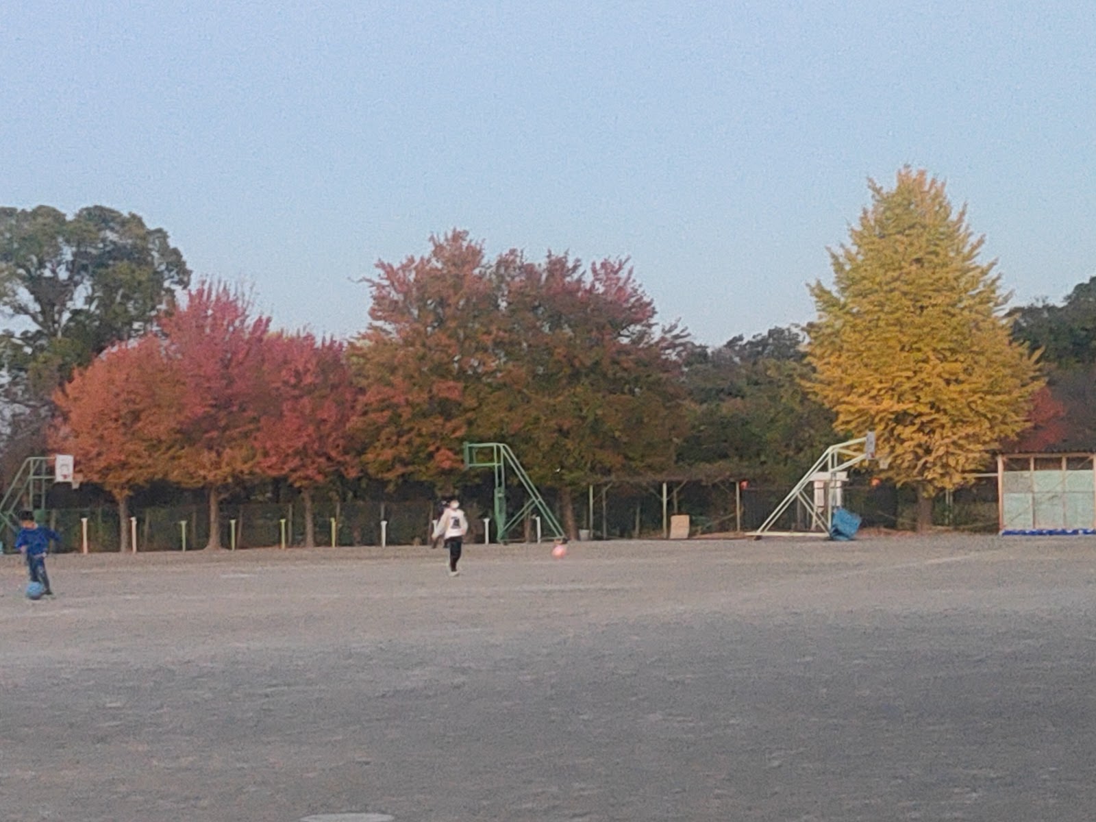 南生田小学校の写真