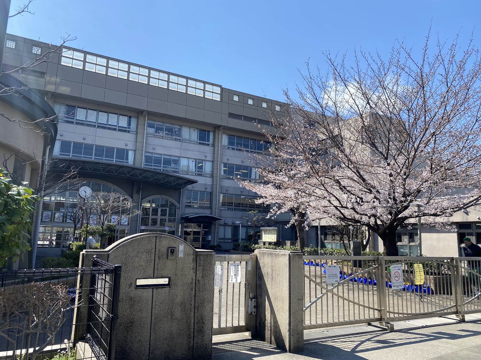 稲田小学校の写真