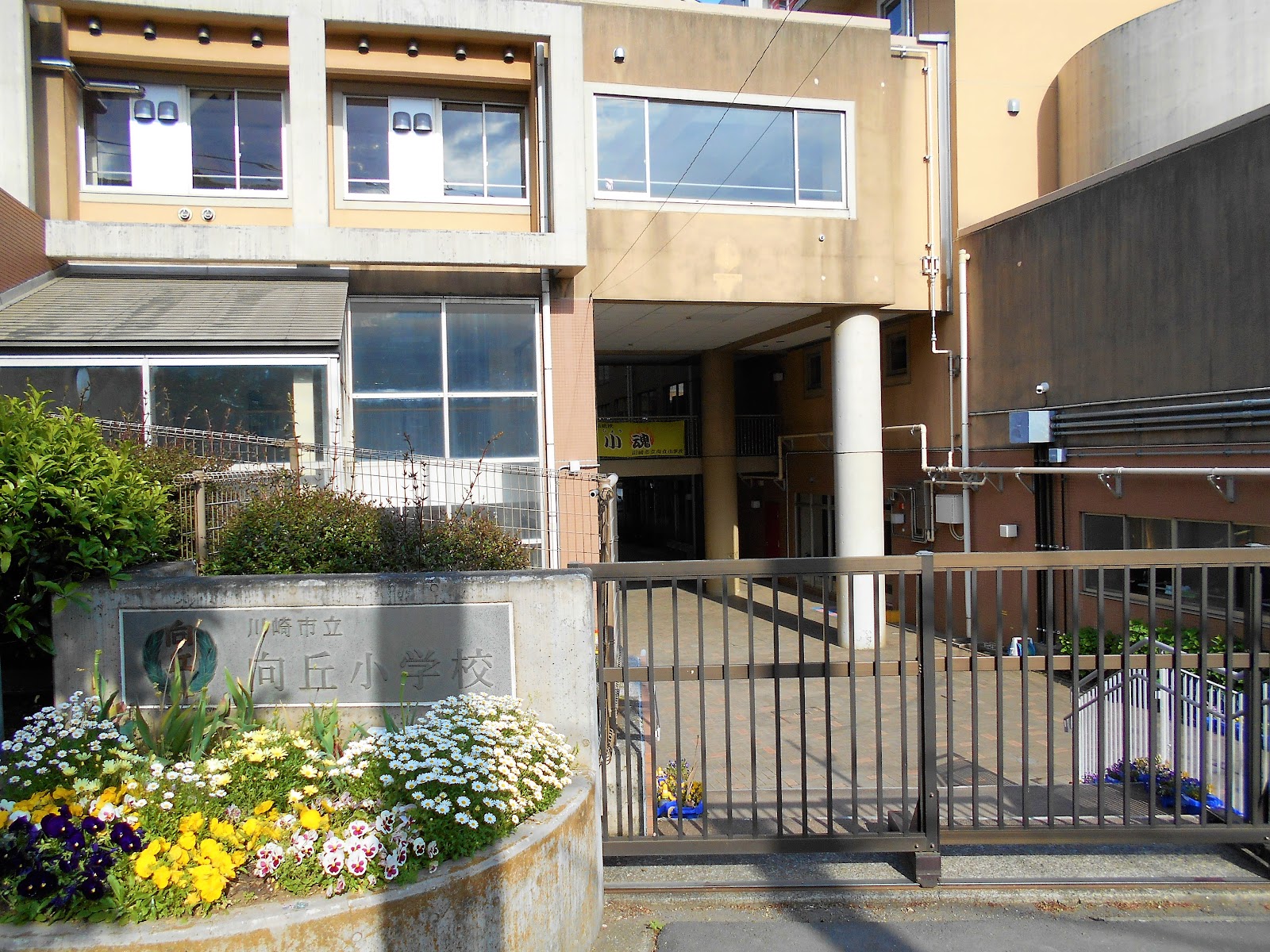 向丘小学校の写真