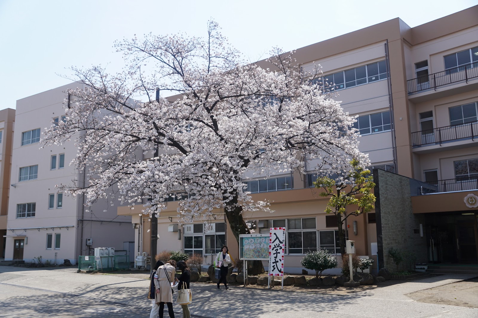 宮崎台小学校の写真