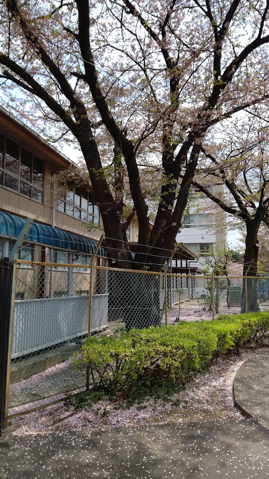 犬蔵中学校の写真
