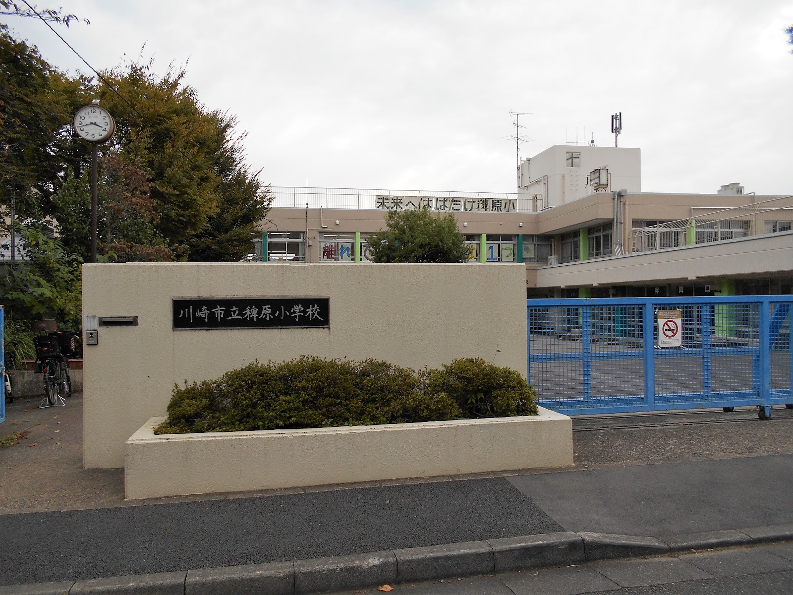 稗原小学校の写真