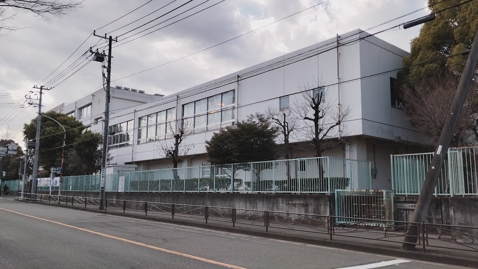 野川小学校の写真