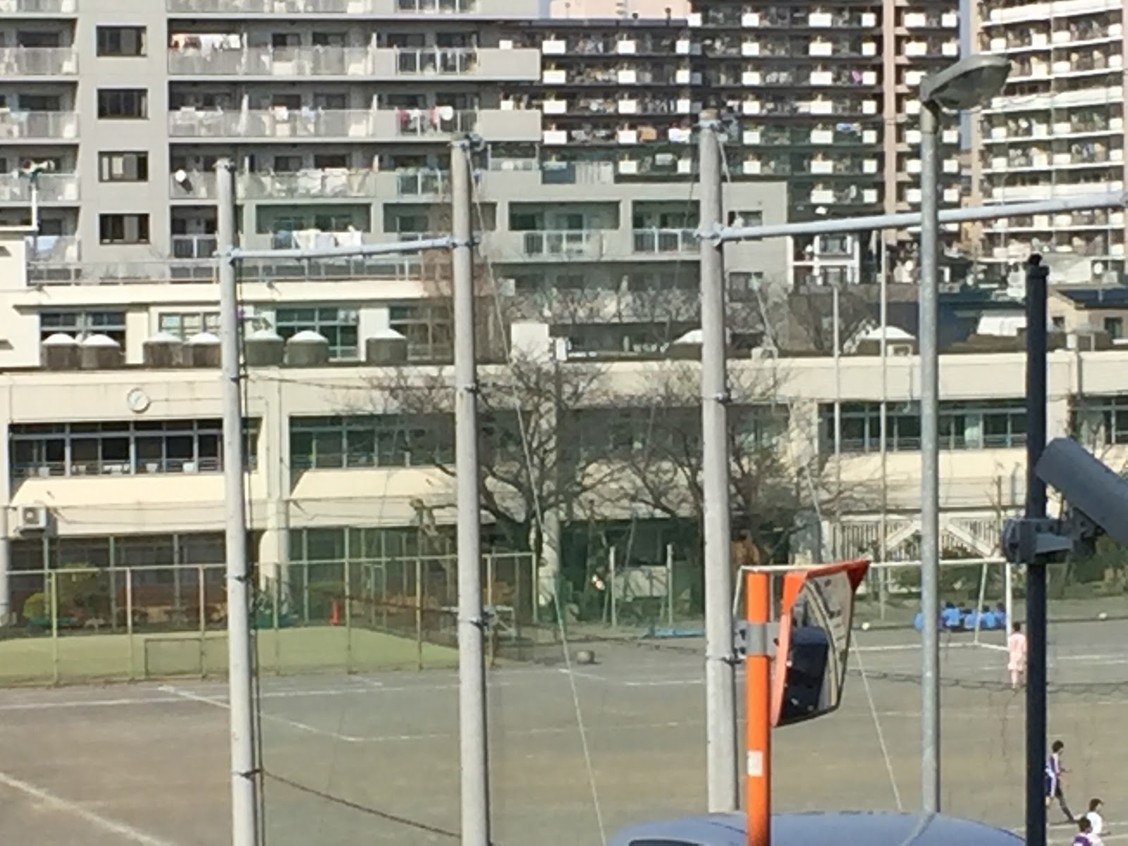 京町中学校の写真