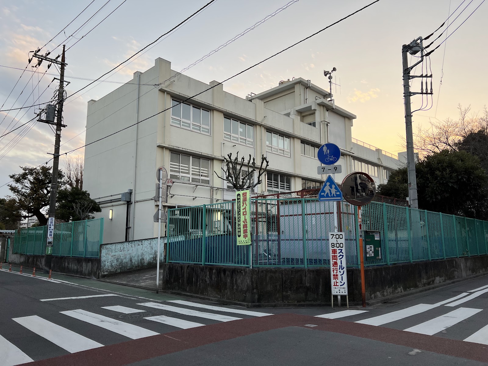 向小学校の写真