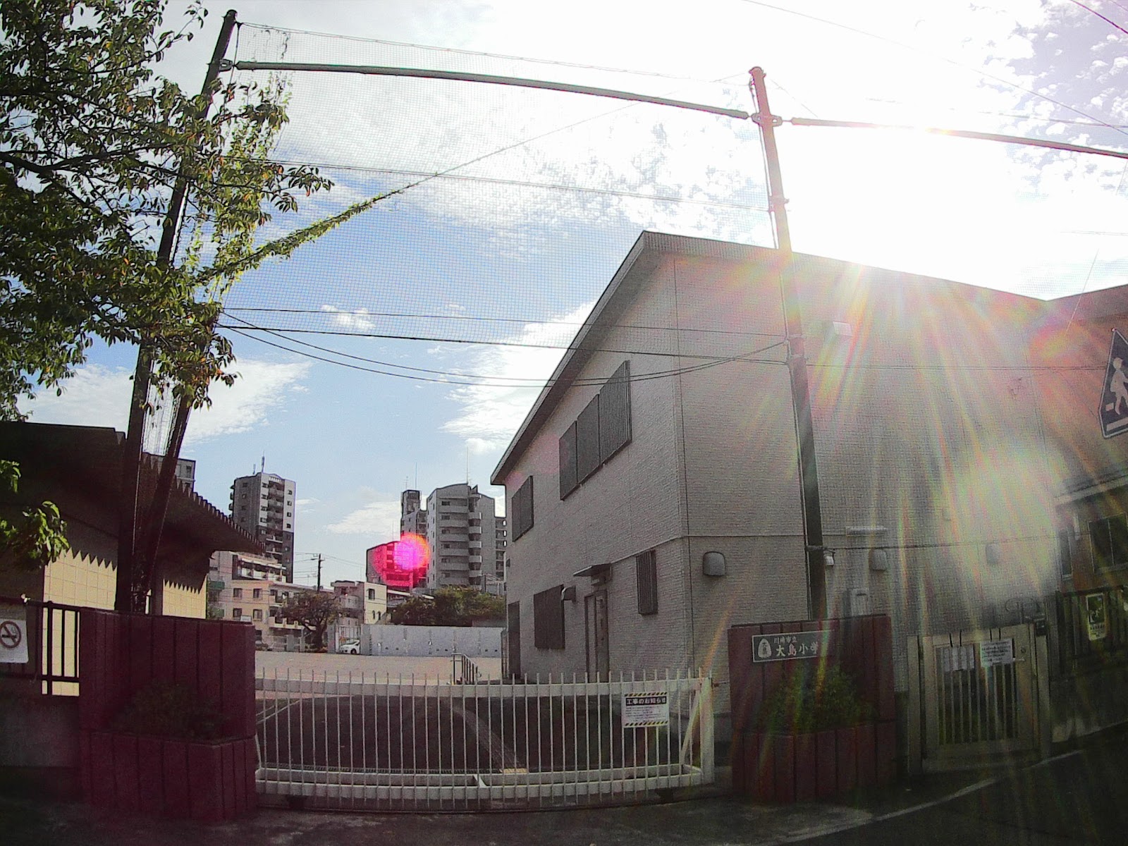 大島小学校の写真