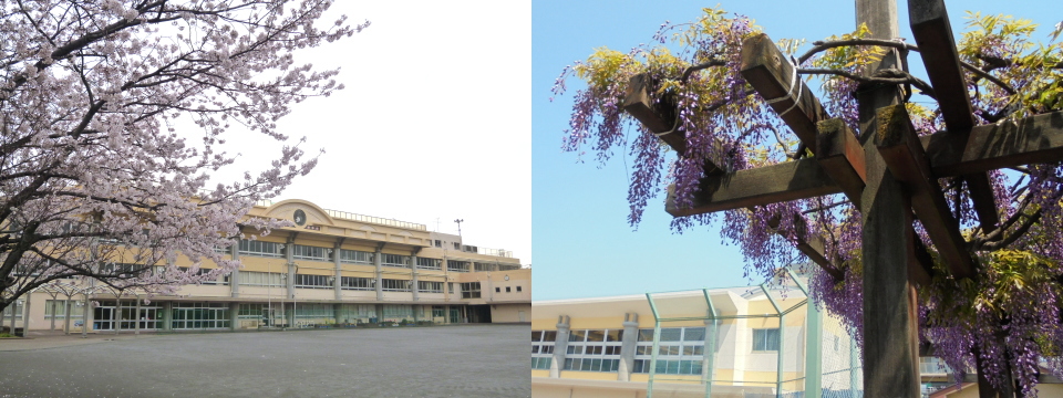 小田小学校の写真