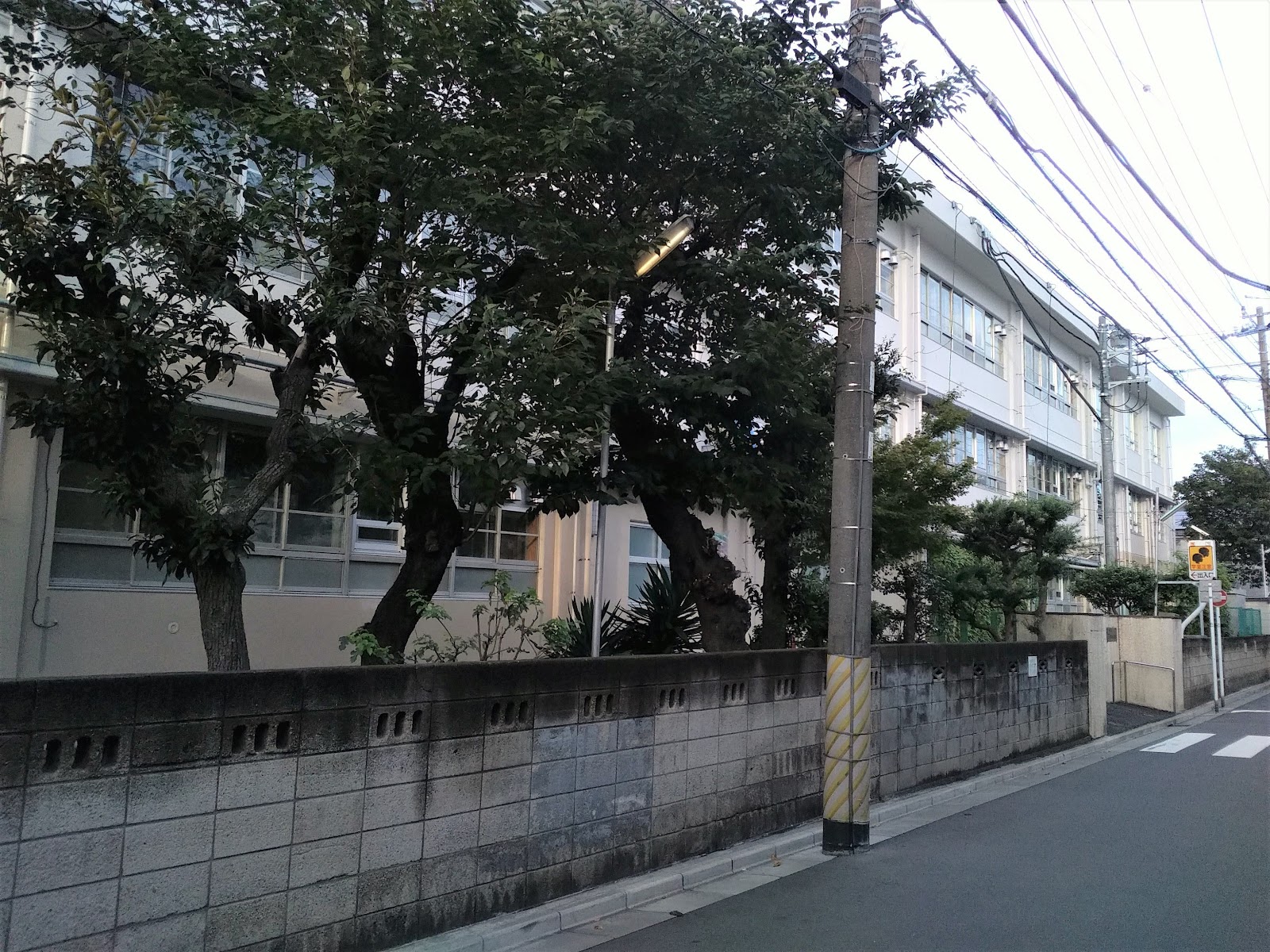 浅田小学校の写真