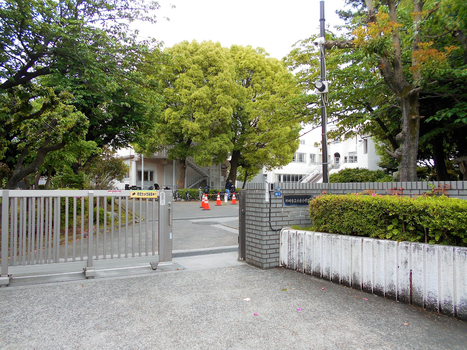小倉小学校の写真