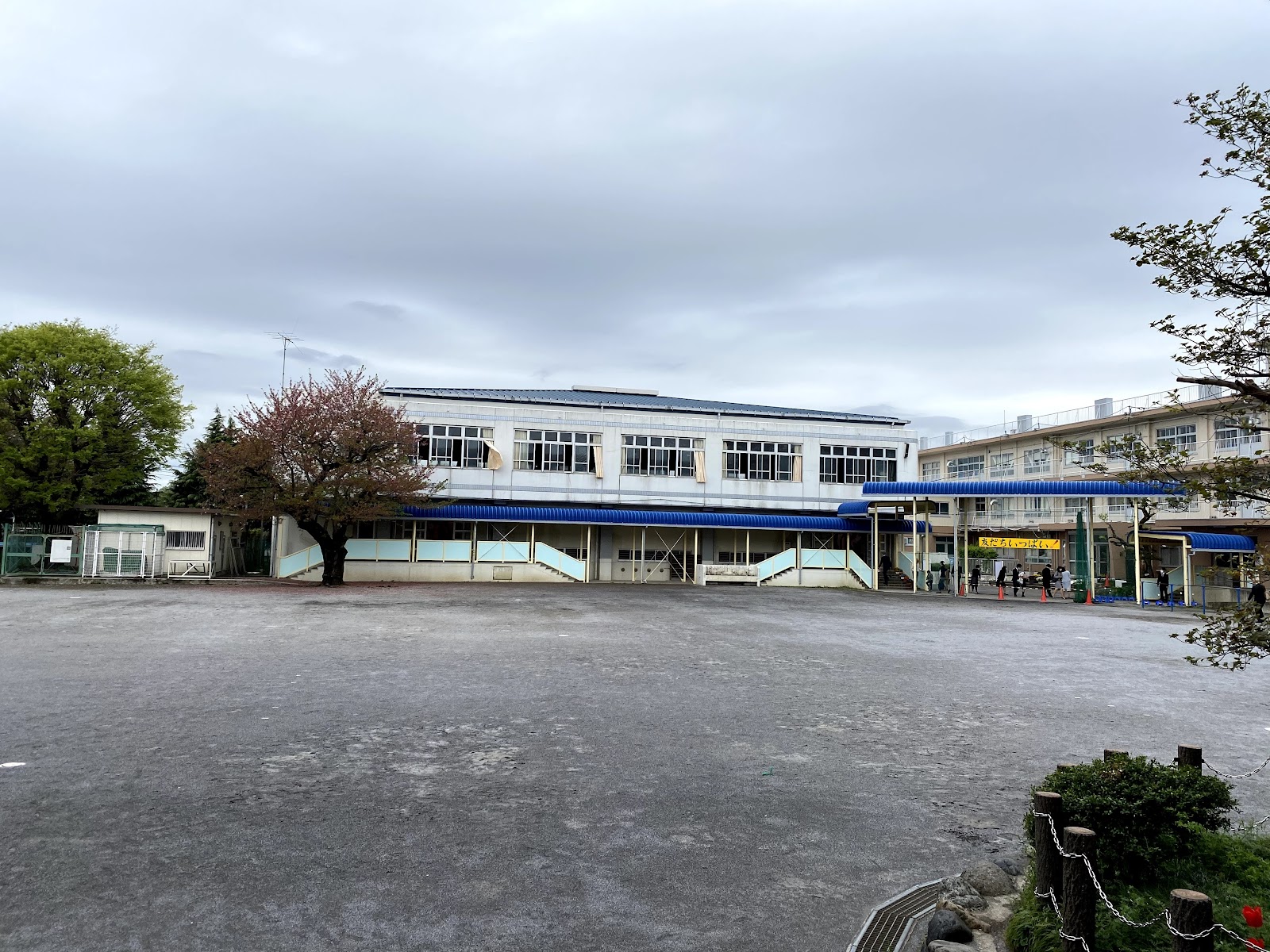 東柿生小学校の写真
