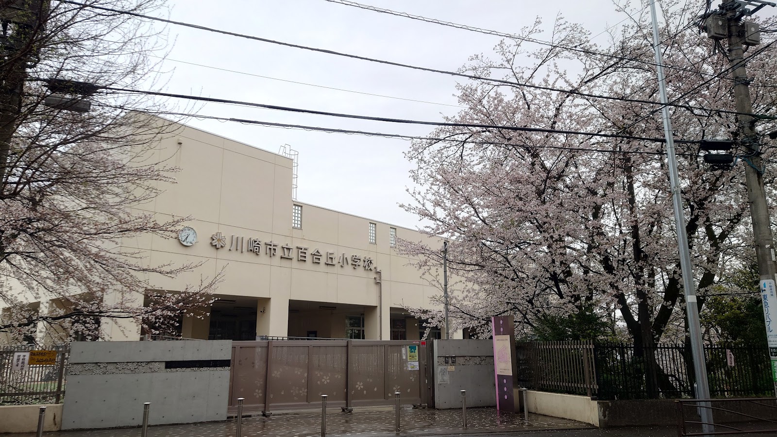 百合丘小学校の写真