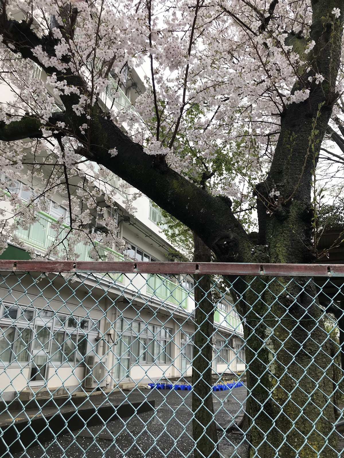 小川小学校の写真