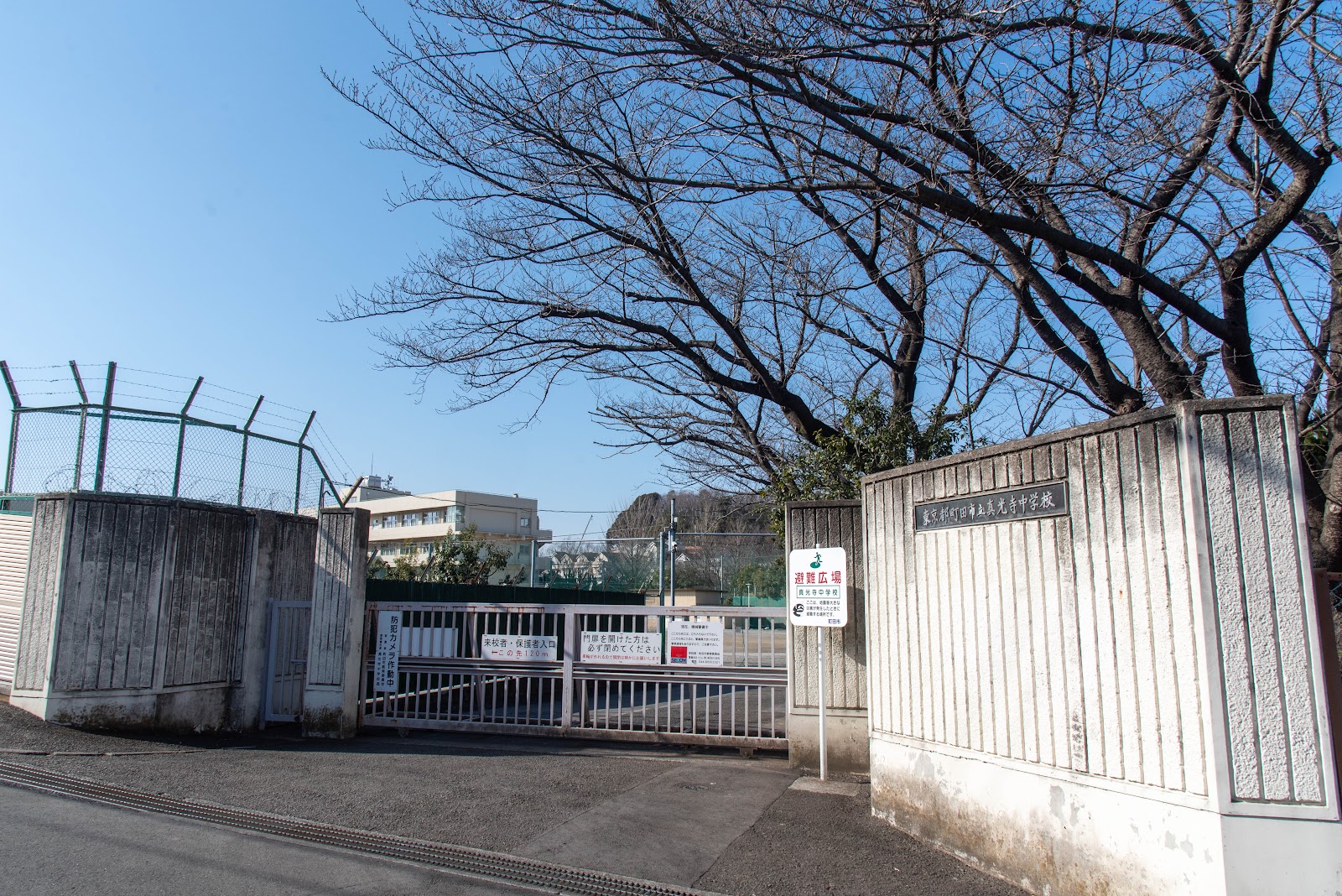 真光寺中学校の写真