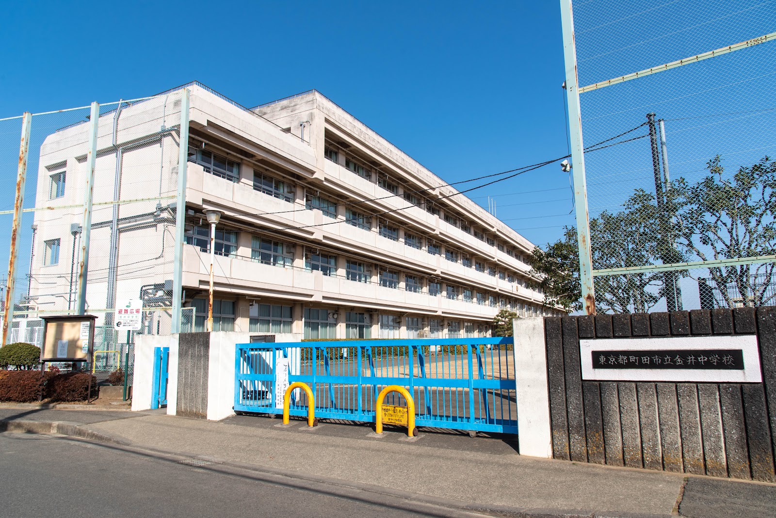 金井中学校の写真