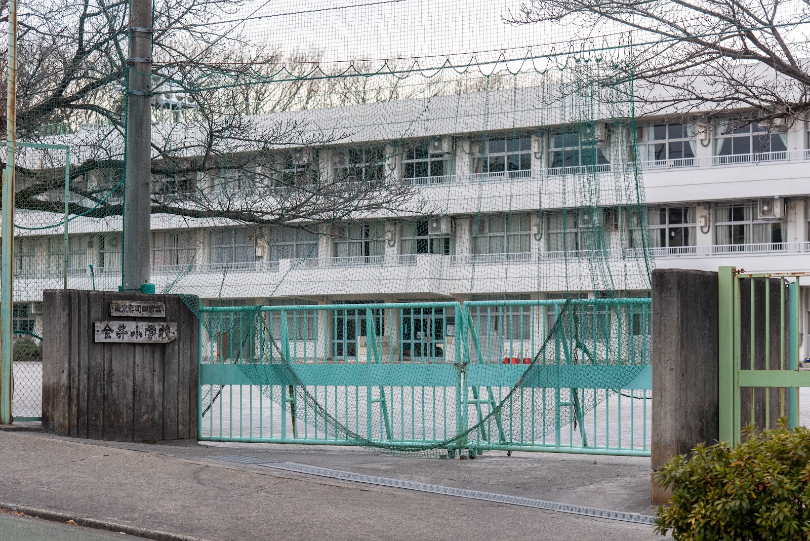 金井小学校の写真