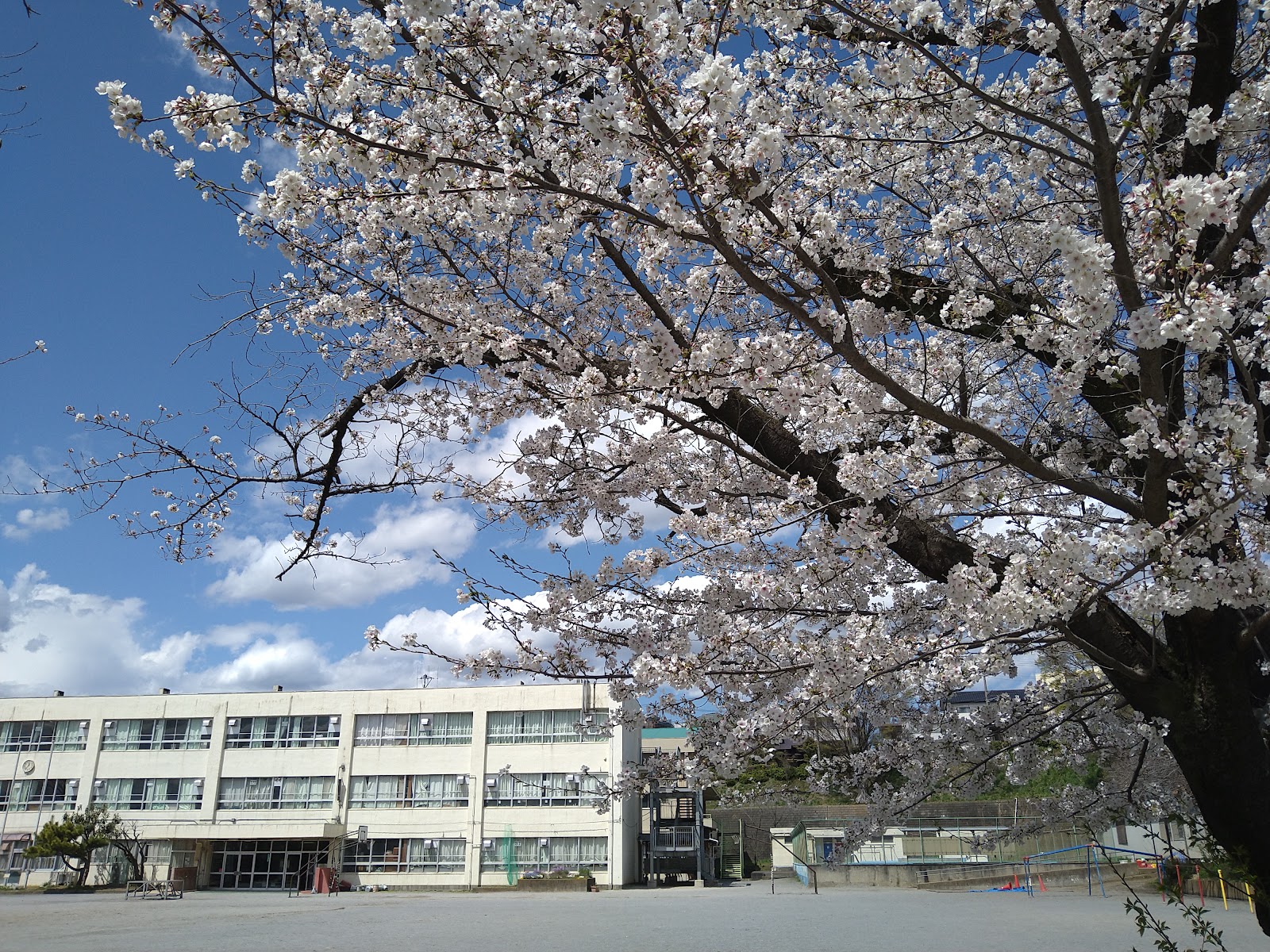 鶴川第四小学校の写真