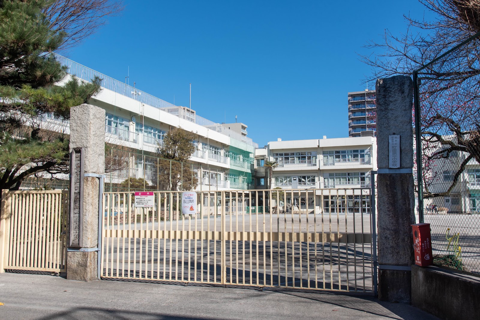 町田第一小学校の写真