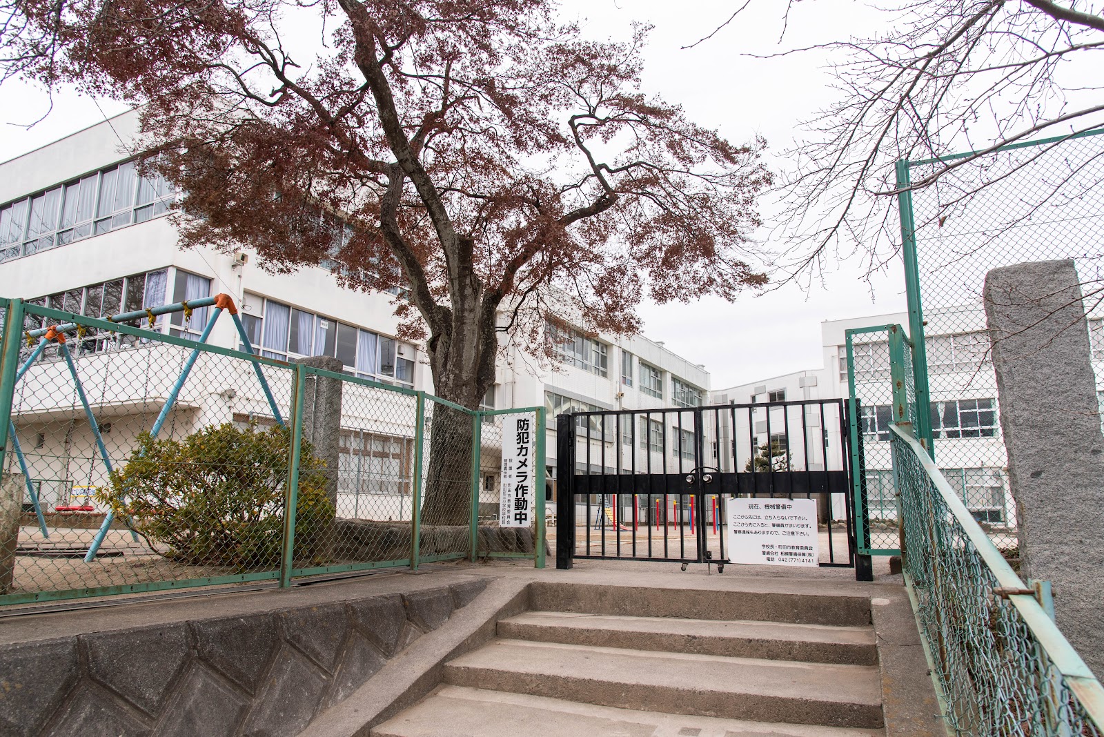 町田第三小学校の写真
