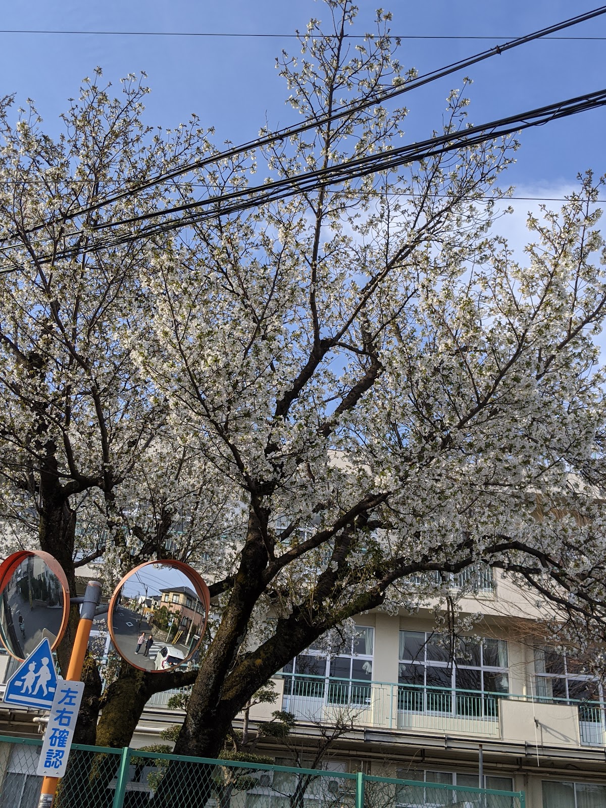 町田第五小学校の写真