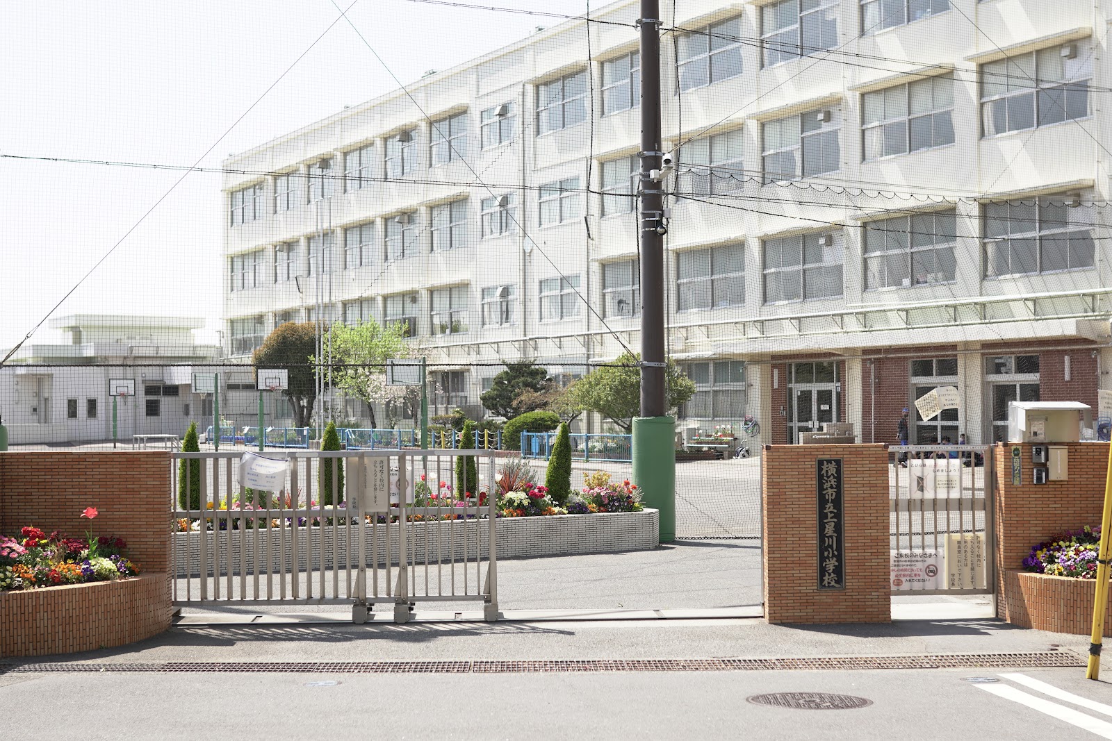 上星川小学校の写真
