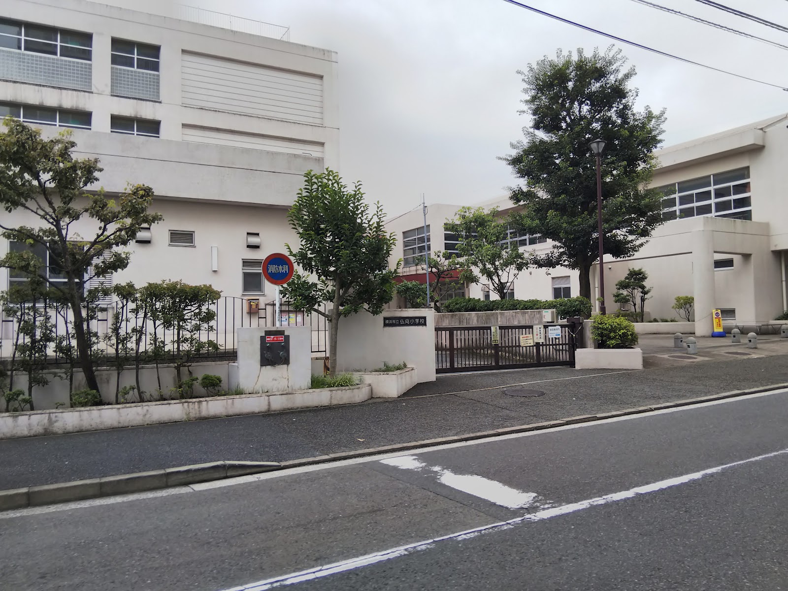 仏向小学校の写真