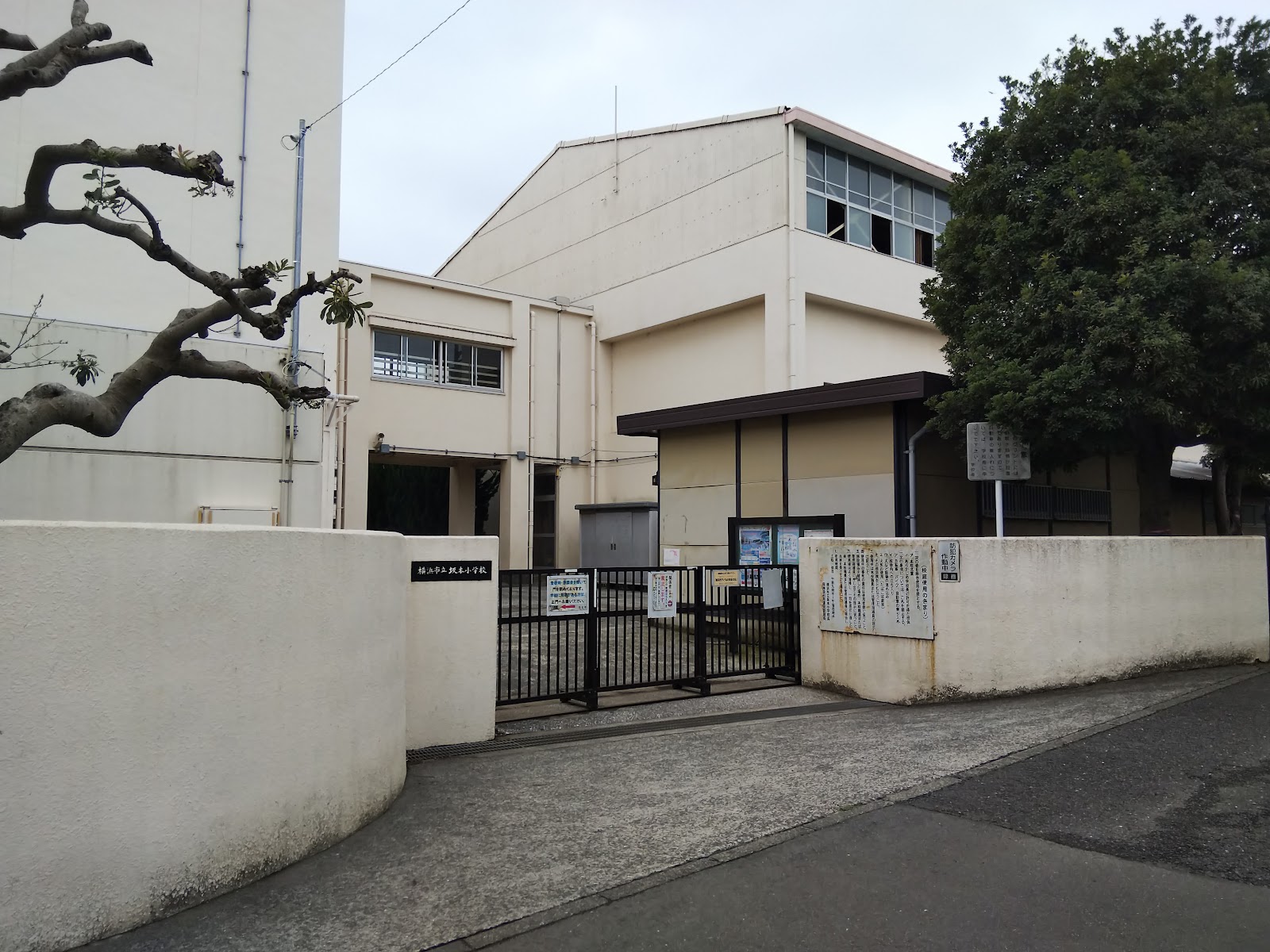 坂本小学校の写真