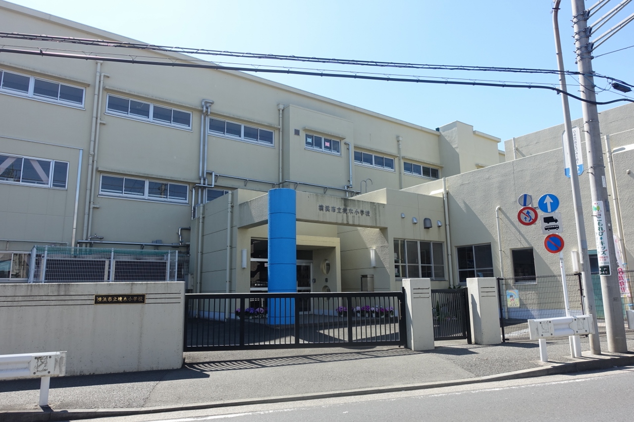 境木小学校の写真