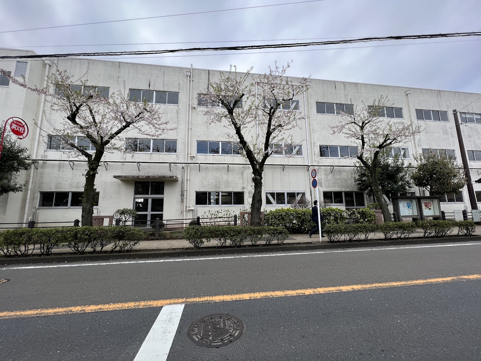 桜台小学校の写真