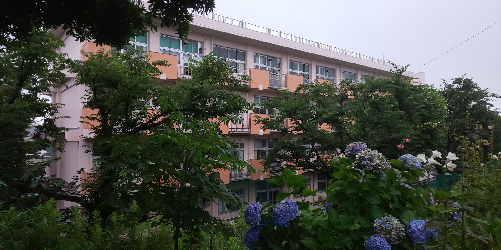 山王台小学校の写真