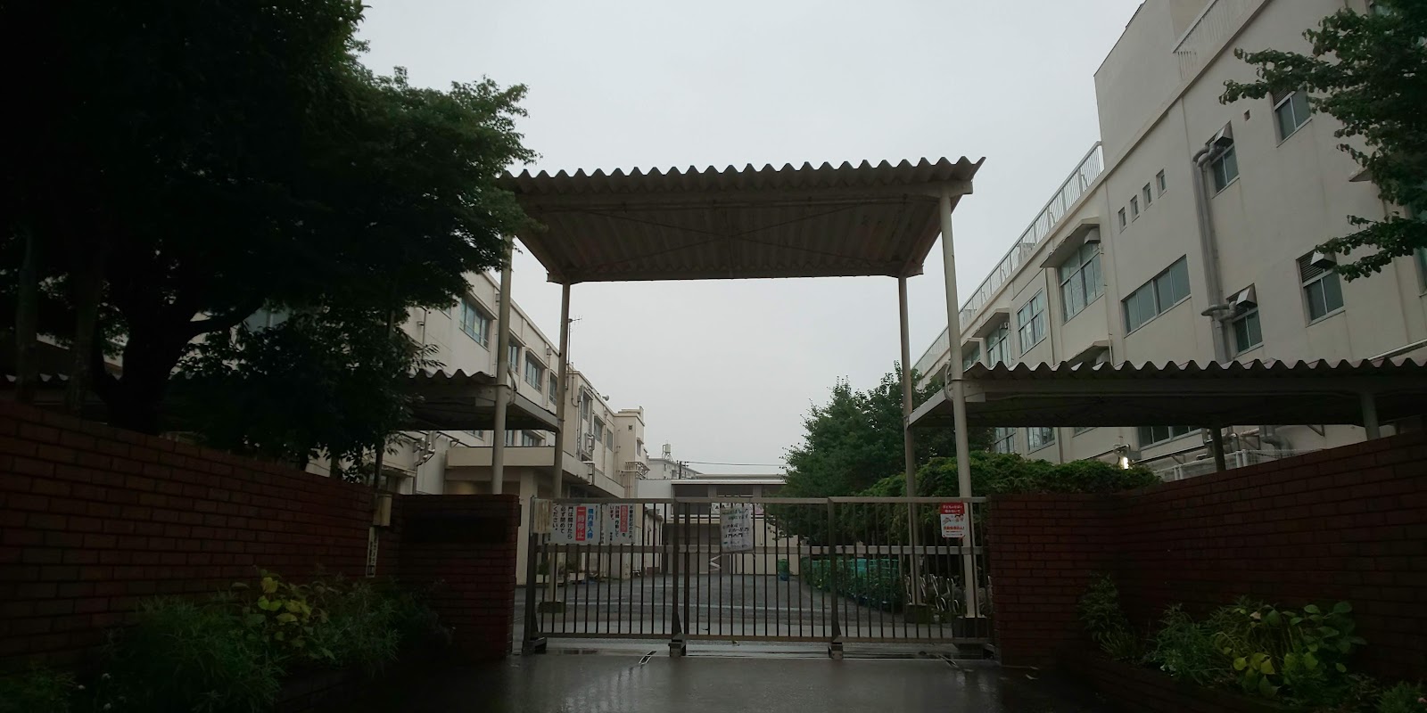藤の木小学校の写真