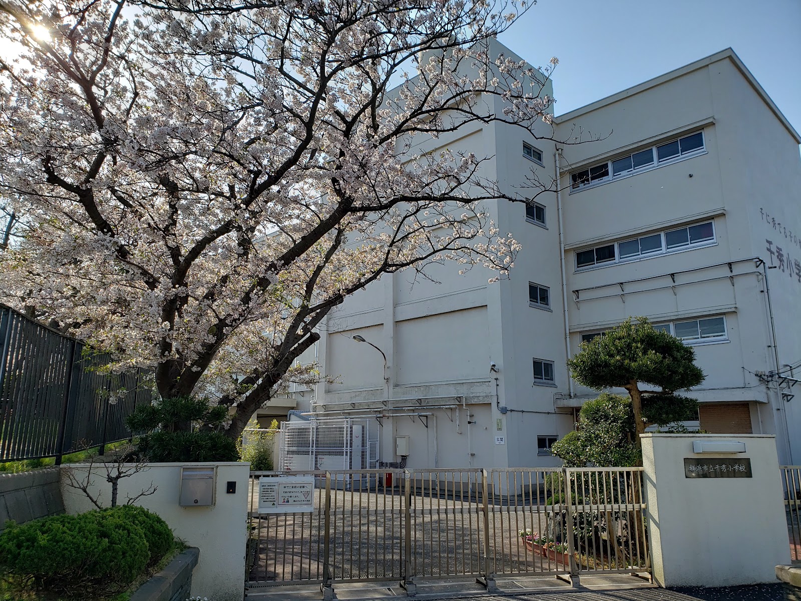 千秀小学校の写真