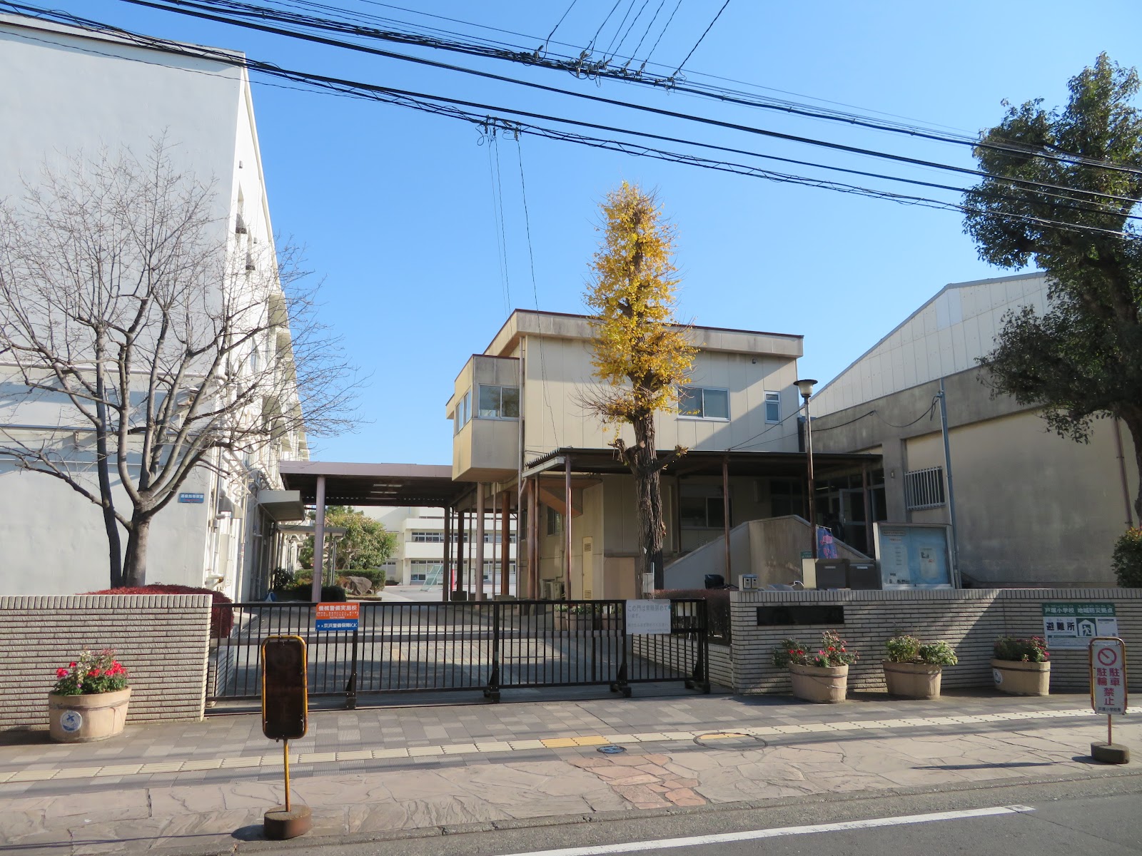 戸塚小学校の写真