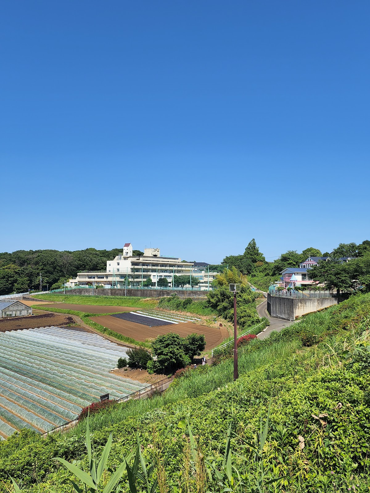 東俣野小学校の写真