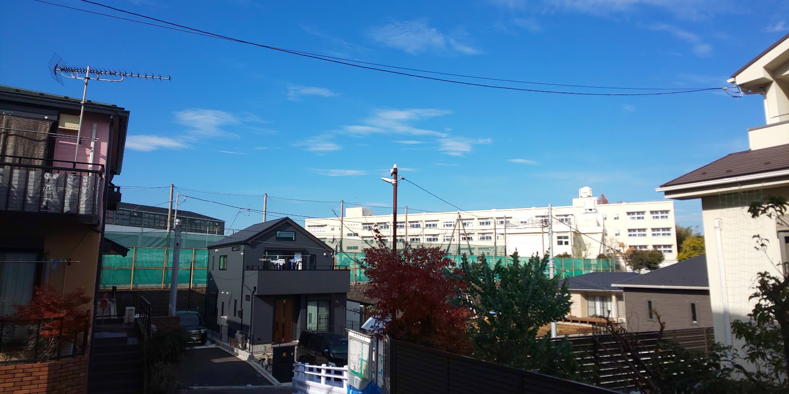 芹が谷小学校の写真