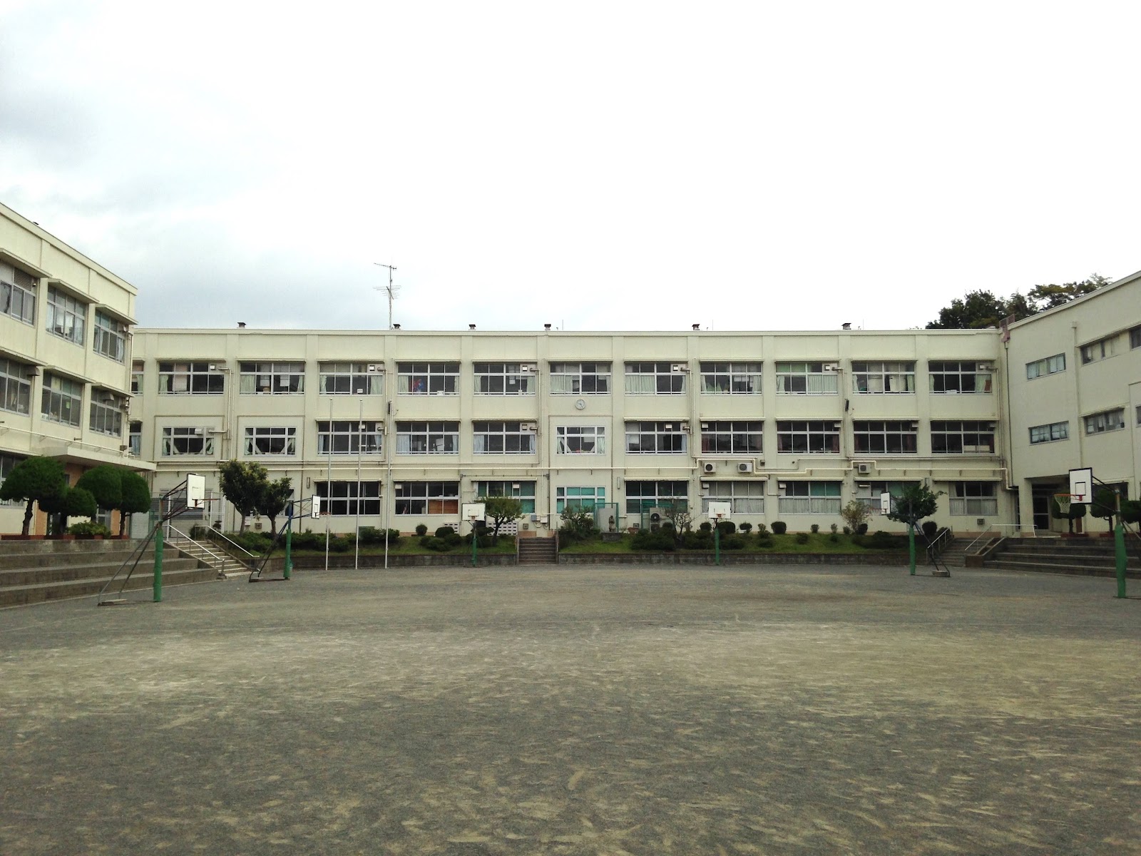 豊田小学校の写真