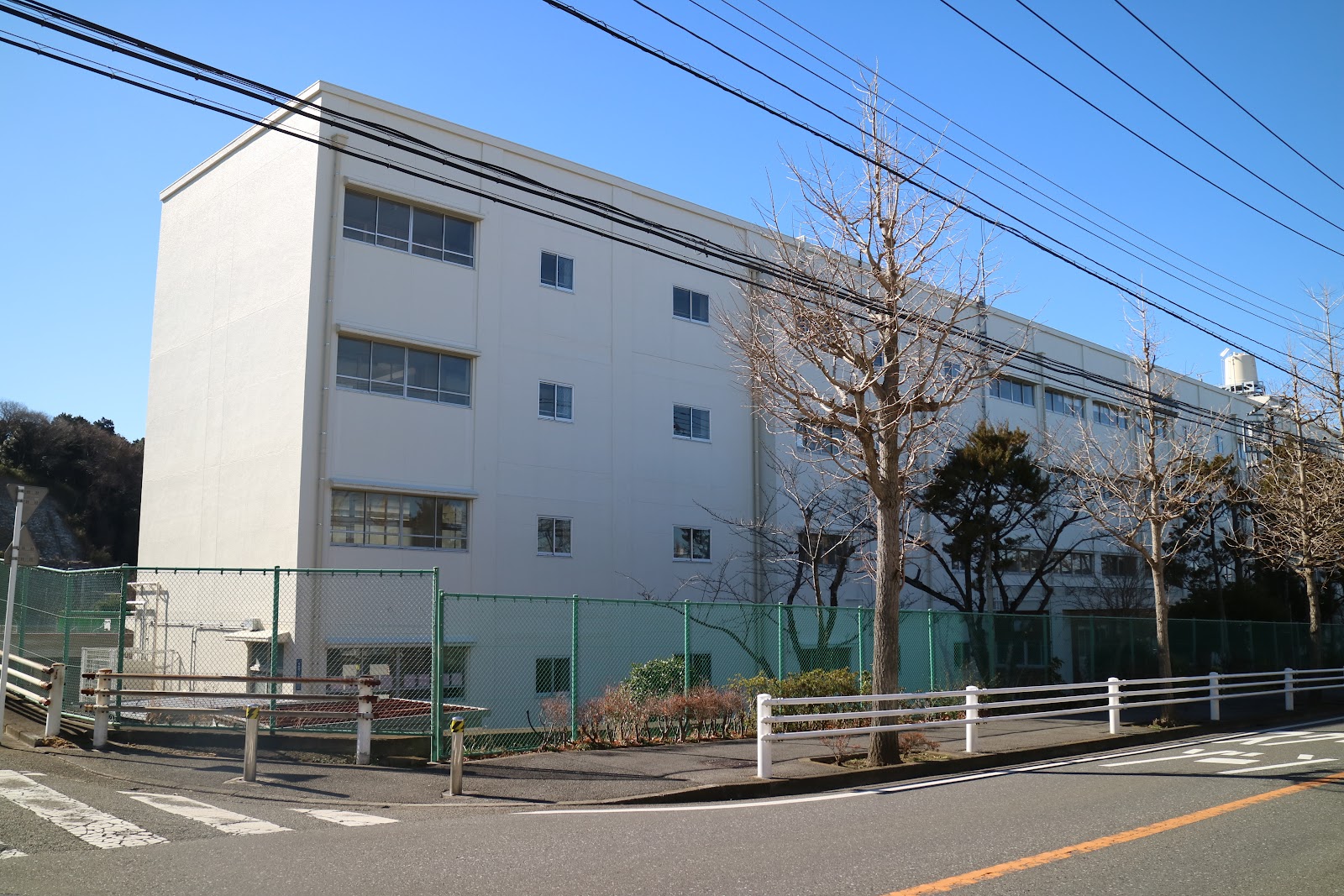 桂台小学校の写真