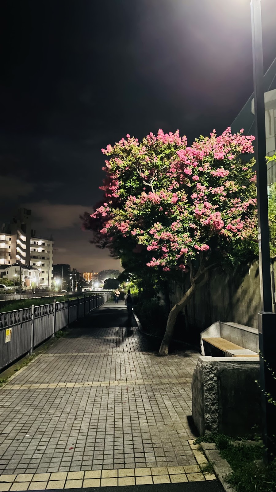 西本郷中学校の写真