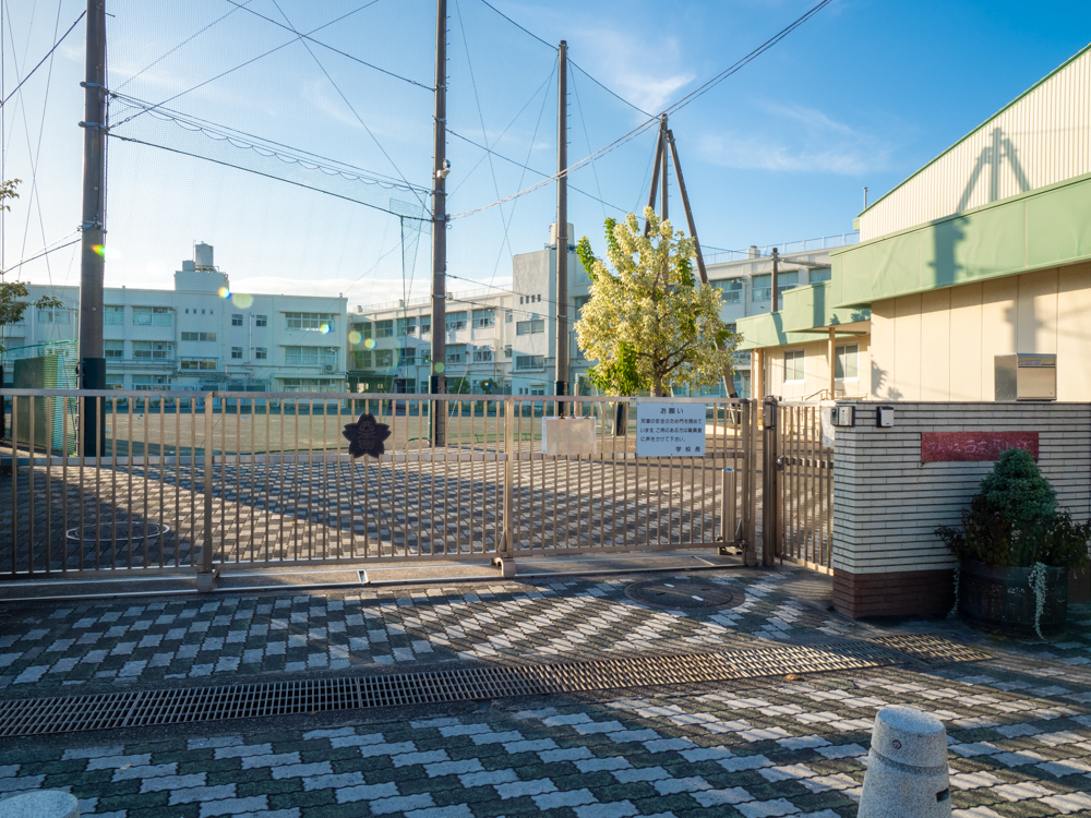 西本郷小学校の写真