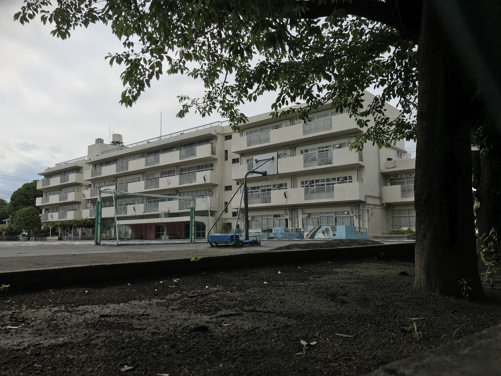 いずみ野小学校の写真
