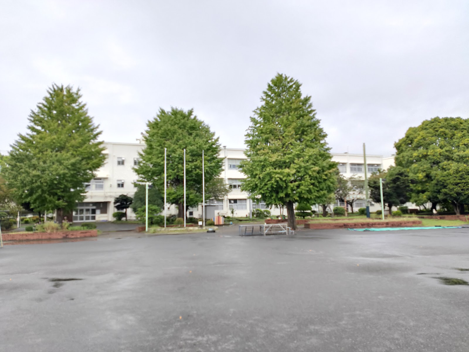 中田小学校の写真