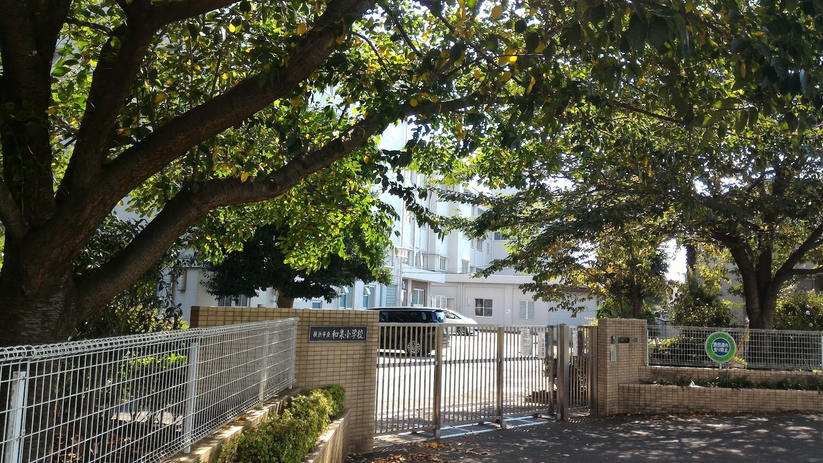 和泉小学校の写真