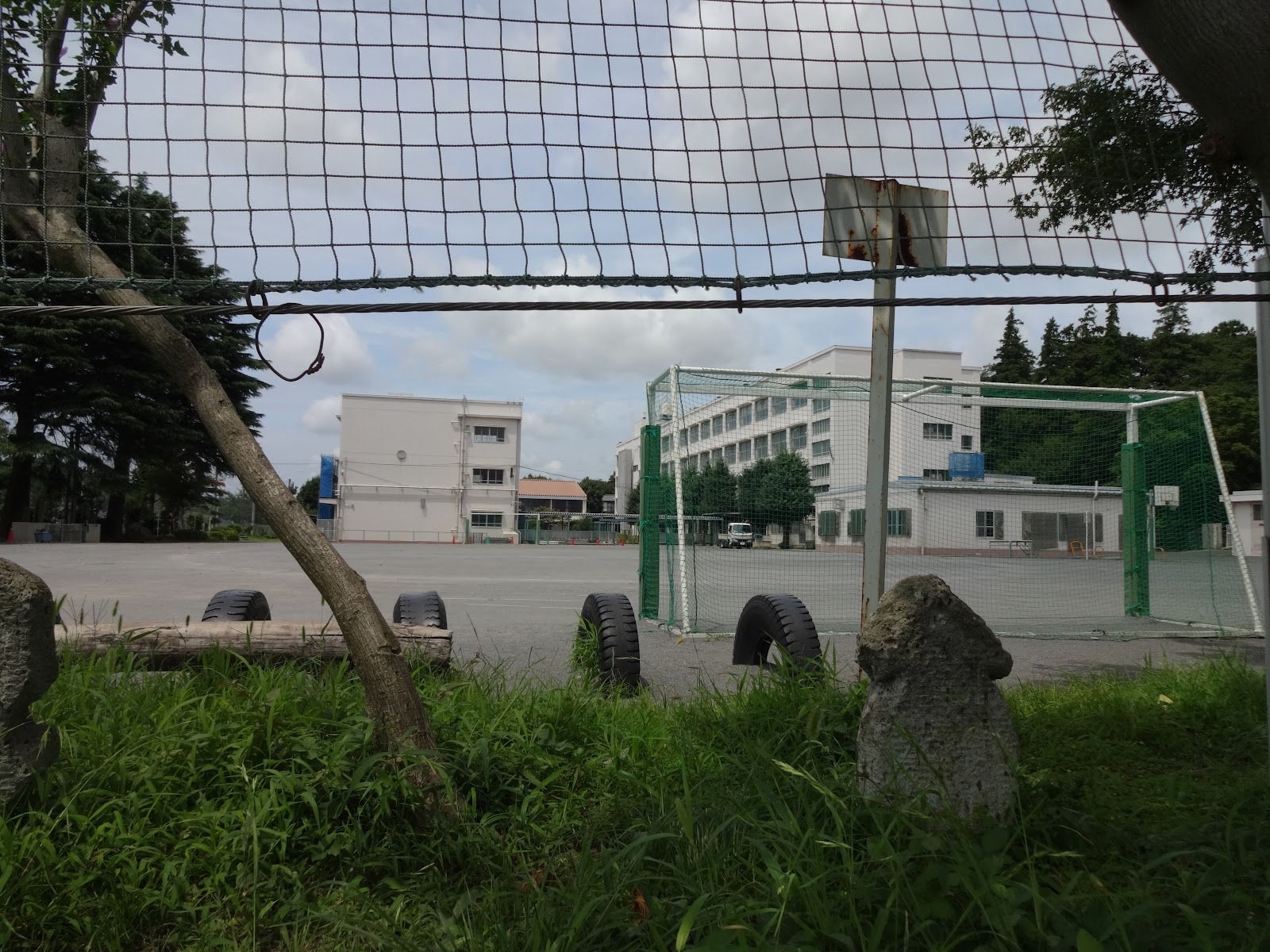 岡津小学校の写真