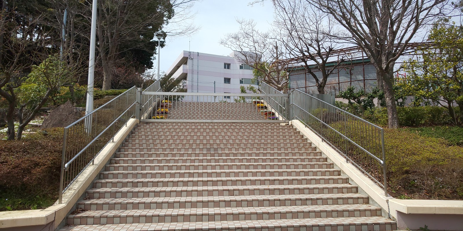 西が岡小学校の写真