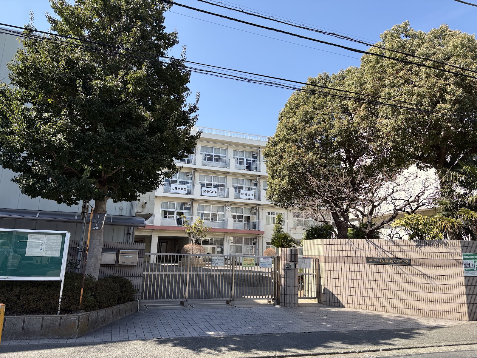 北綱島小学校の写真