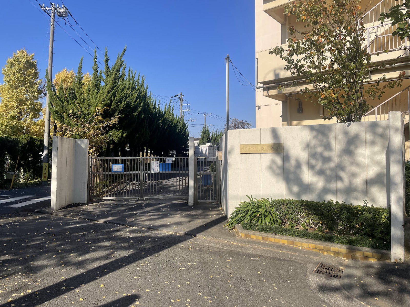 太尾小学校の写真