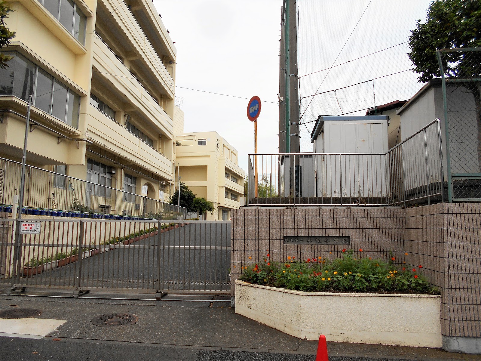 小机小学校の写真