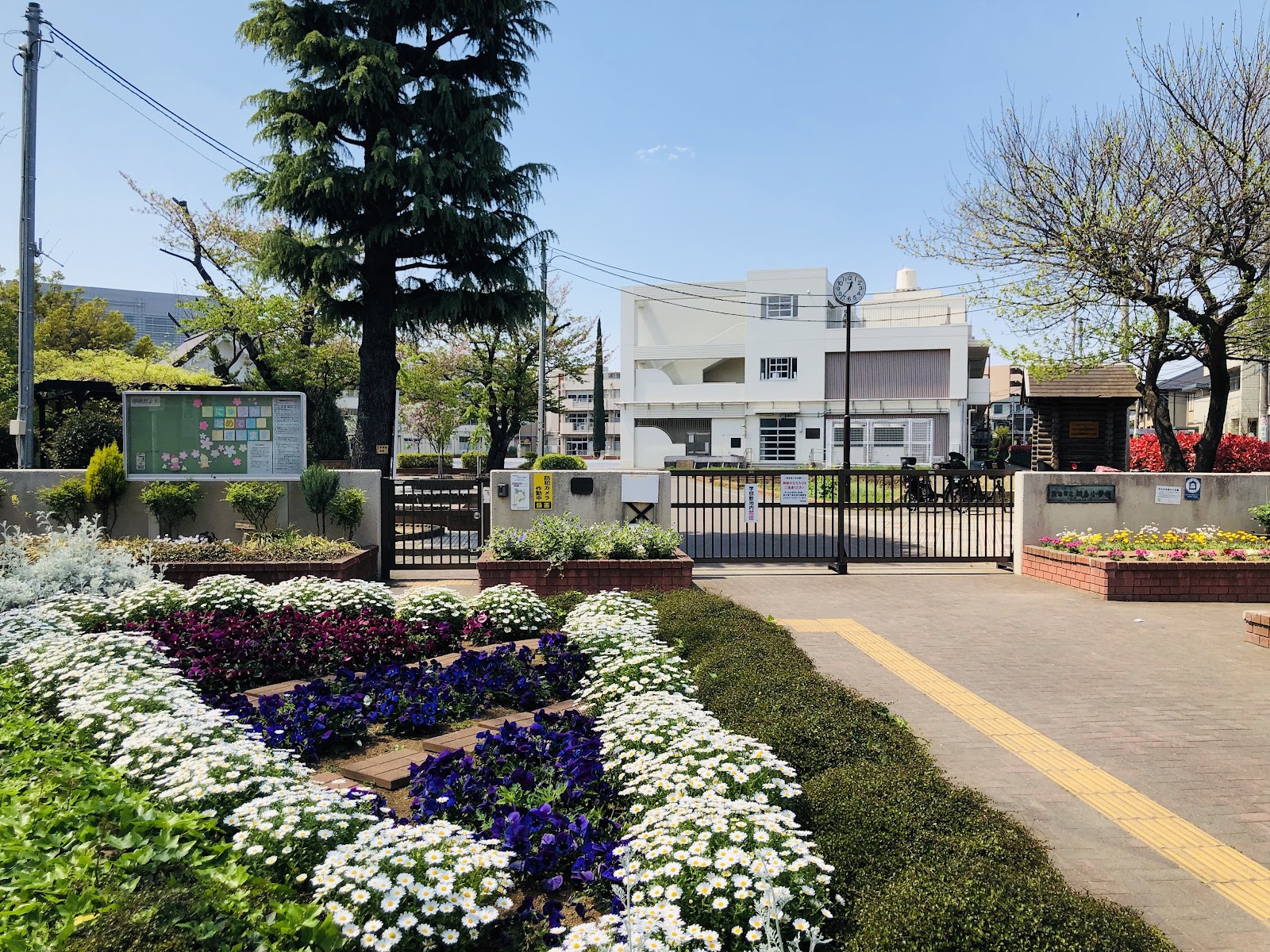 綱島小学校の写真
