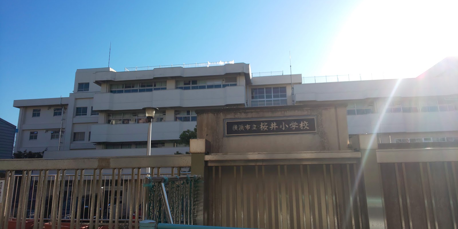 桜井小学校の写真